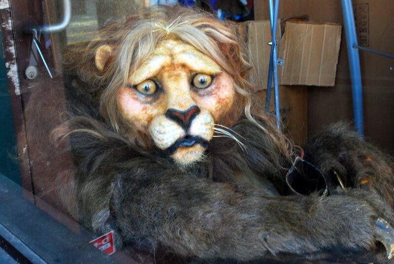 Lion Costume Prop