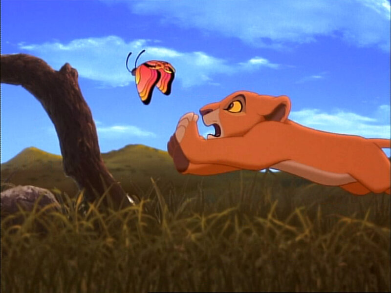lion cub chasing butterfly