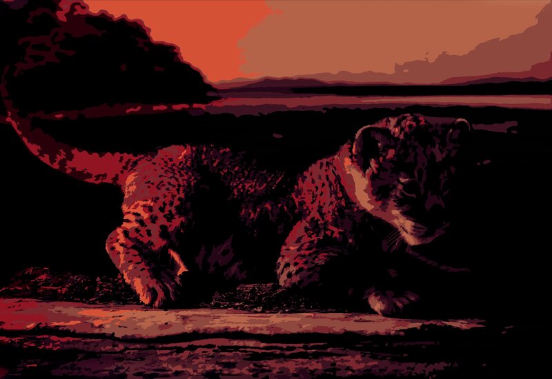 Lion Cub in Dusk