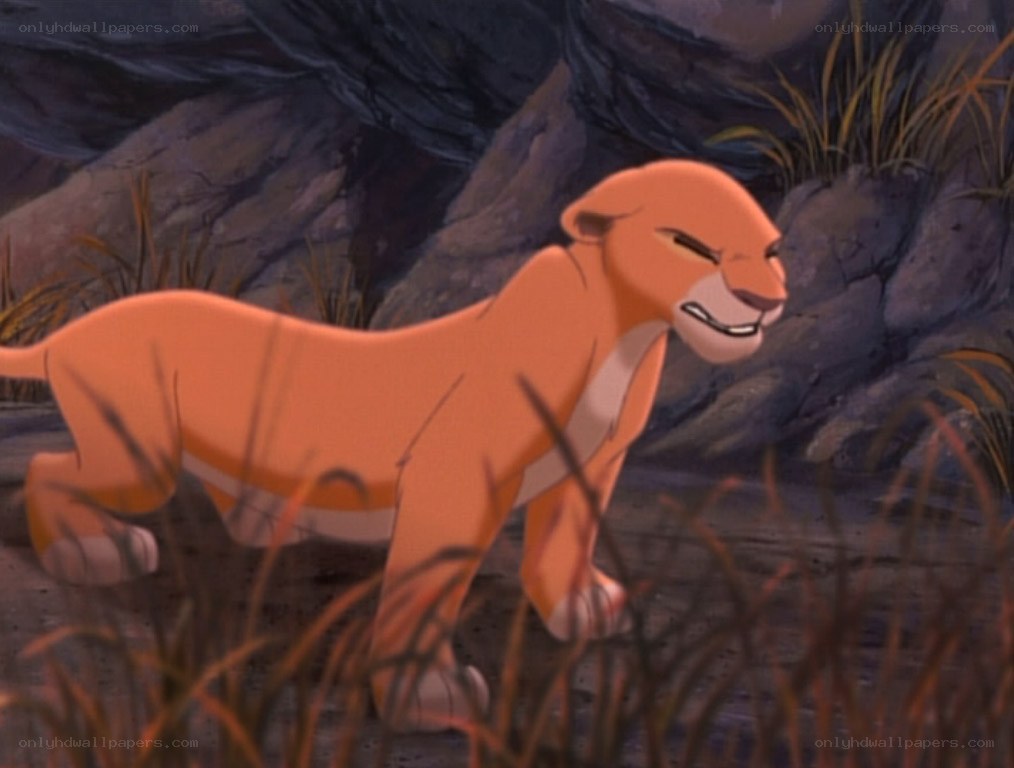 lion cub in grass