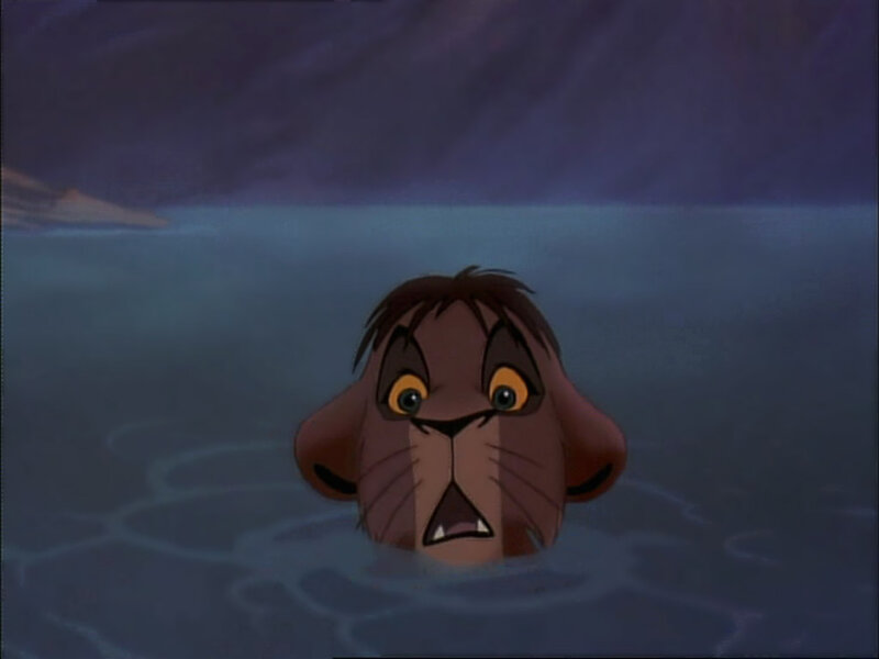 lion cub in water
