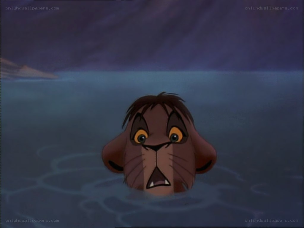 lion cub in water