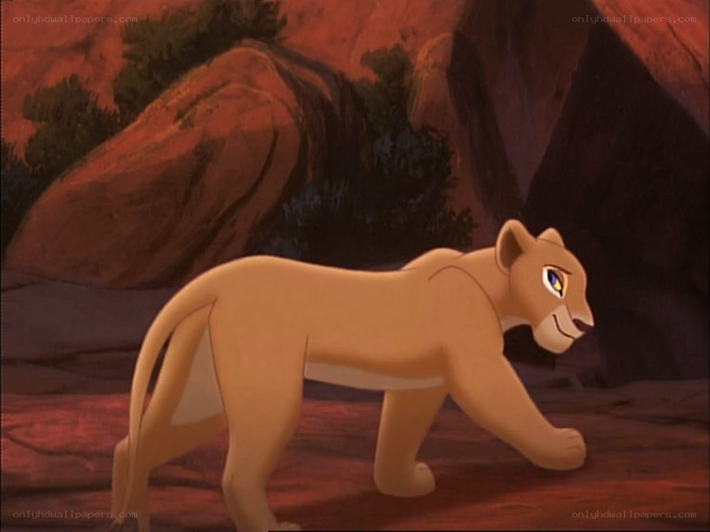 lion cub walking in canyon