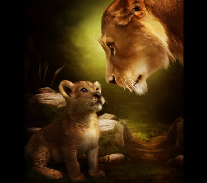 Lion Cub with Lioness