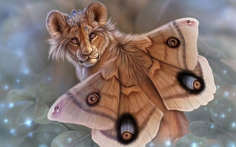 Lion Cub with Moth Wings — Brown