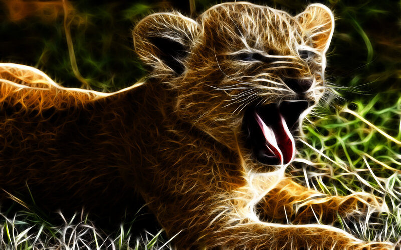 Lion Cub Yawning — Brown, Dramatic