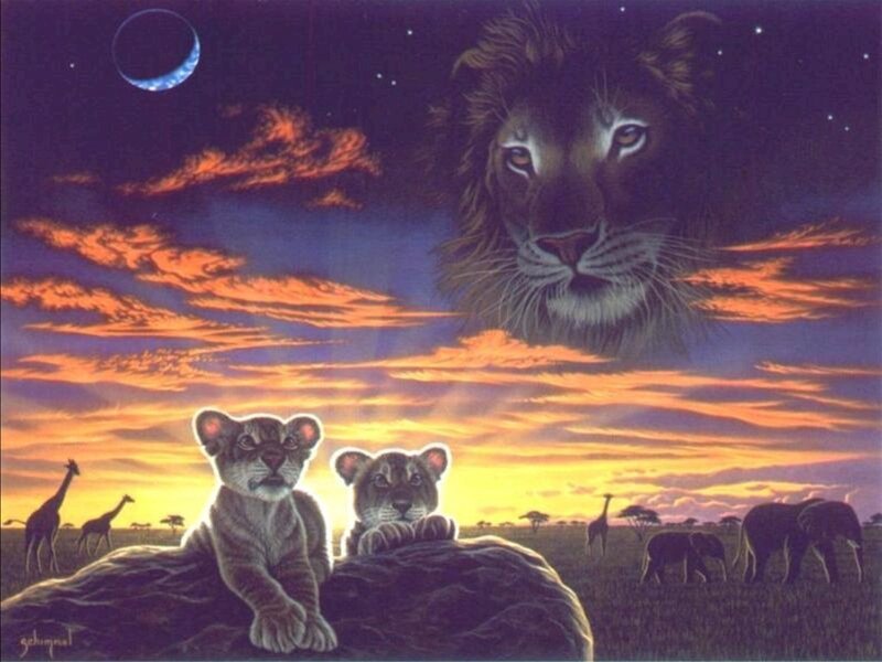 Lion cubs at sunset