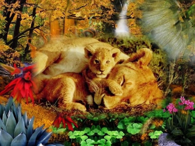 Lion cubs in autumn forest