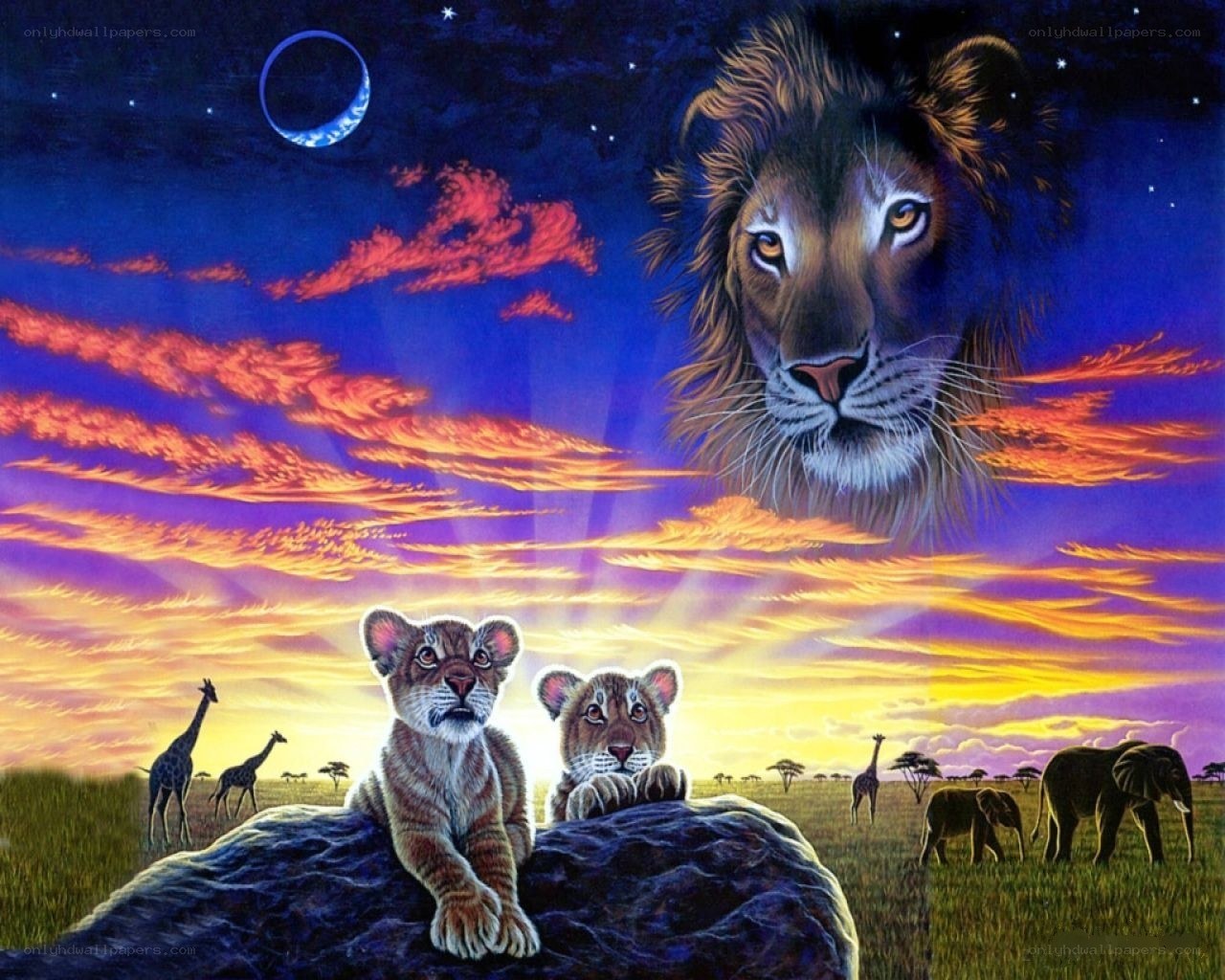 Lion cubs under a starry sky