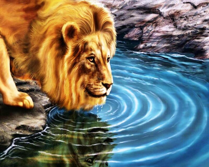 Lion Drinking Water — Blue, Calm