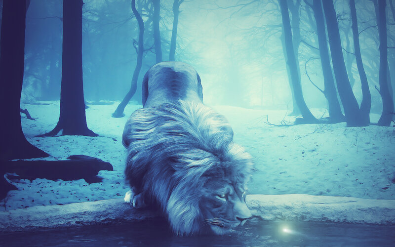 Lion Drinking Water — Blue, Mystical