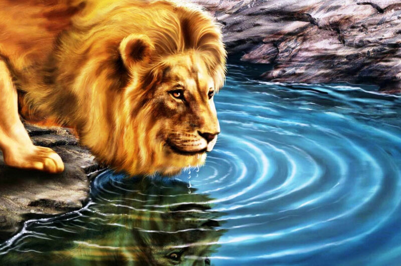 Lion Drinking Water — Blue, Serene