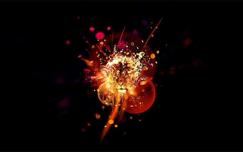 lion explosion artwork