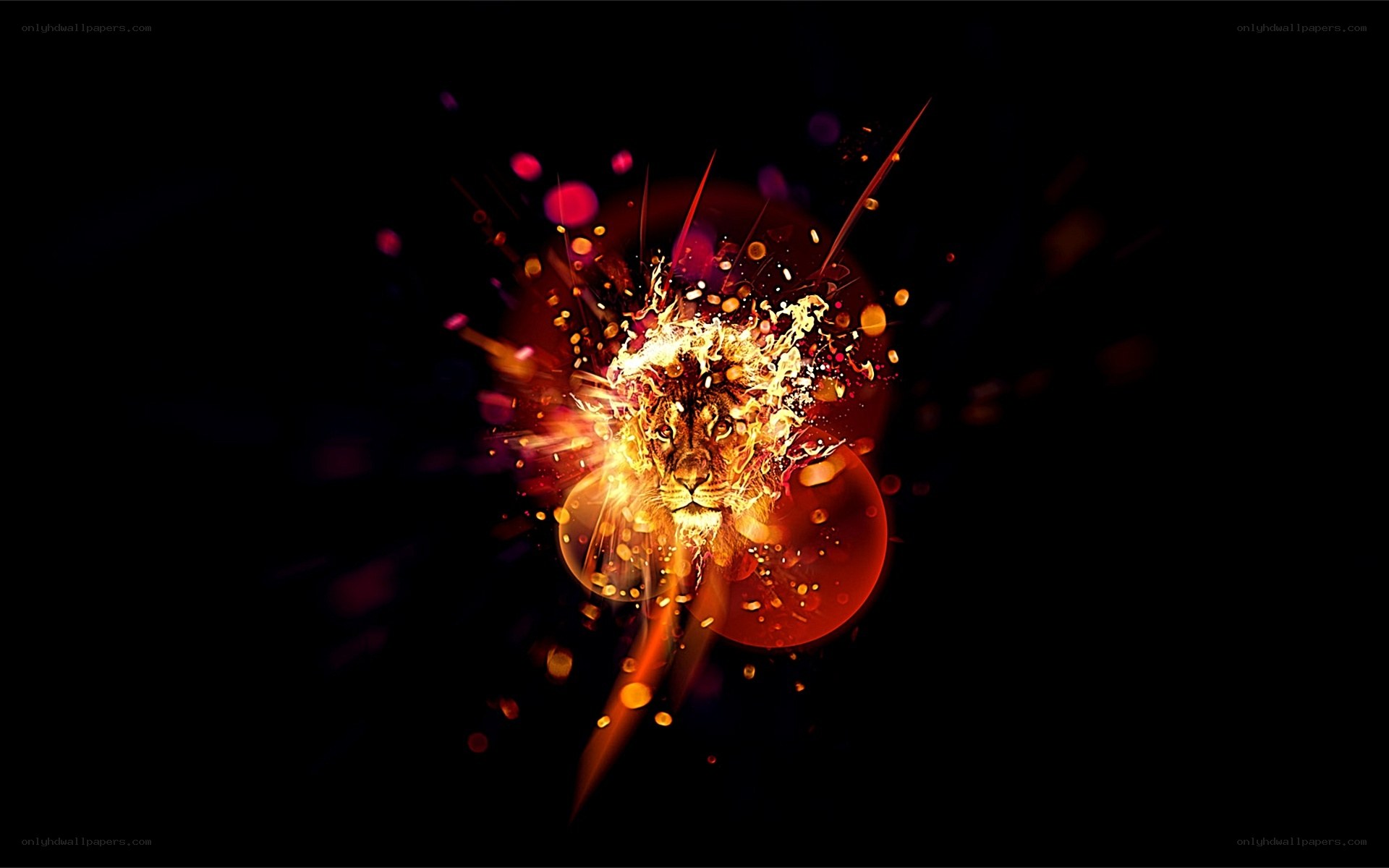 lion explosion artwork