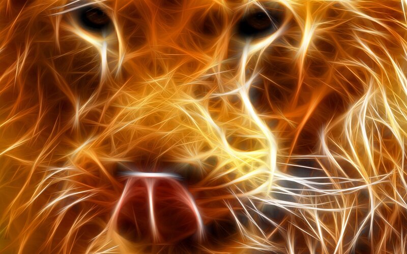 Lion Face Close-up — Orange, Intense, Digital Art, Eyes