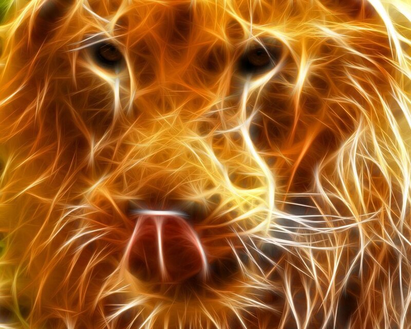 Lion Face Close-up — Orange, Intense, Digital Art
