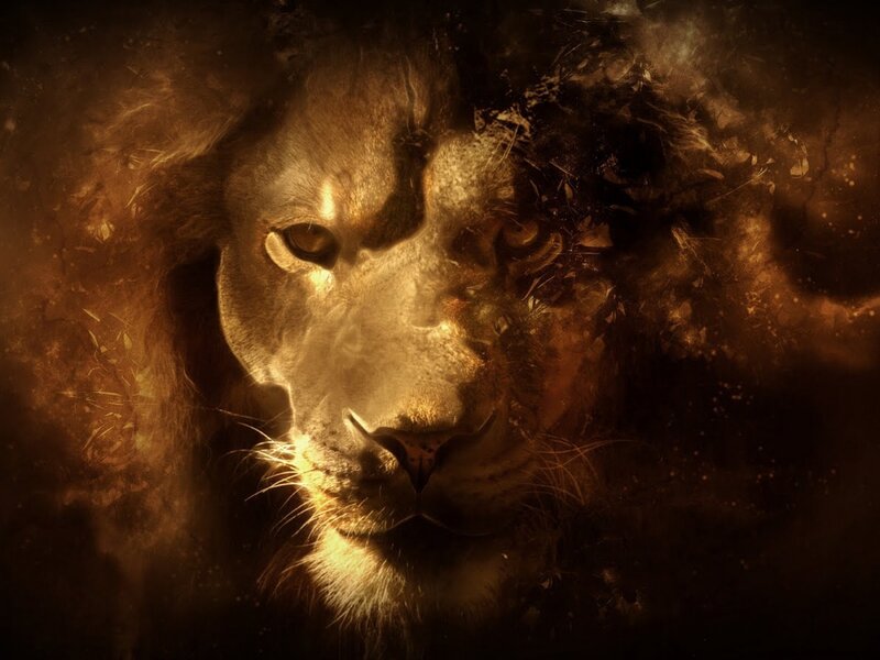 Lion Face in Dust — Brown