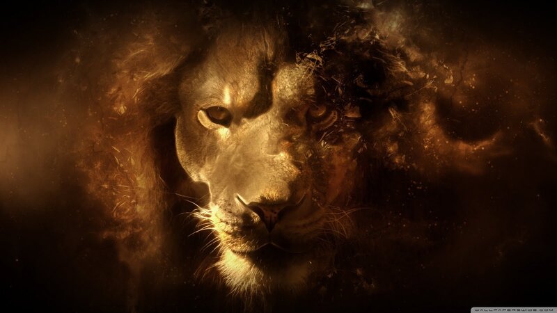 Lion Face in Dust