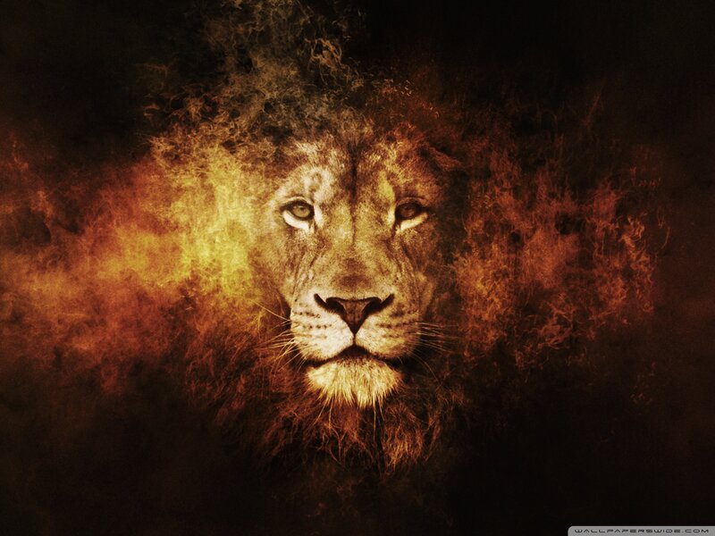 Lion Face in Flames — Orange, Dramatic