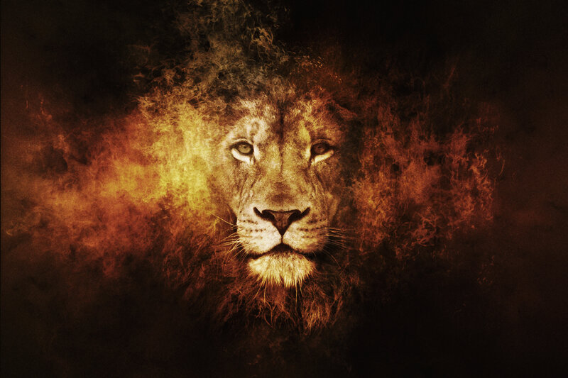 Lion Face in Flames — Orange