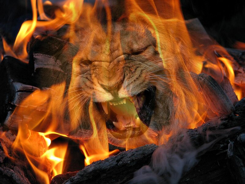 Lion Face in Flames
