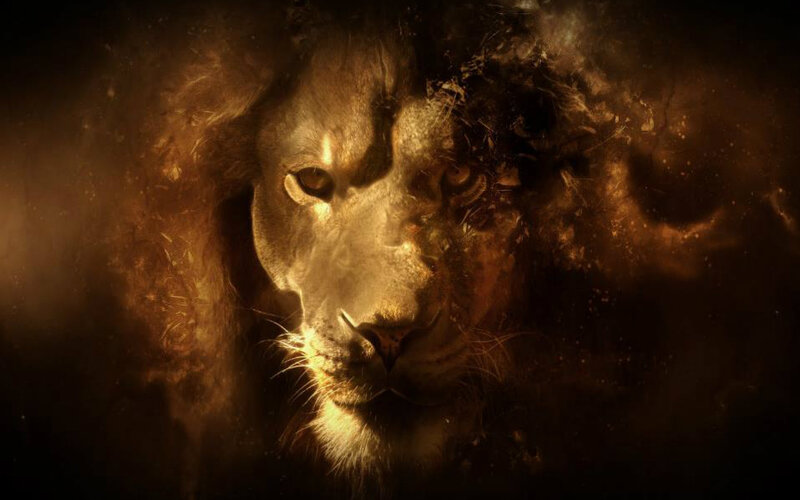 Lion Face in Smoke — Brown
