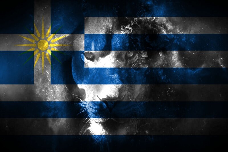 Lion Face on Flag