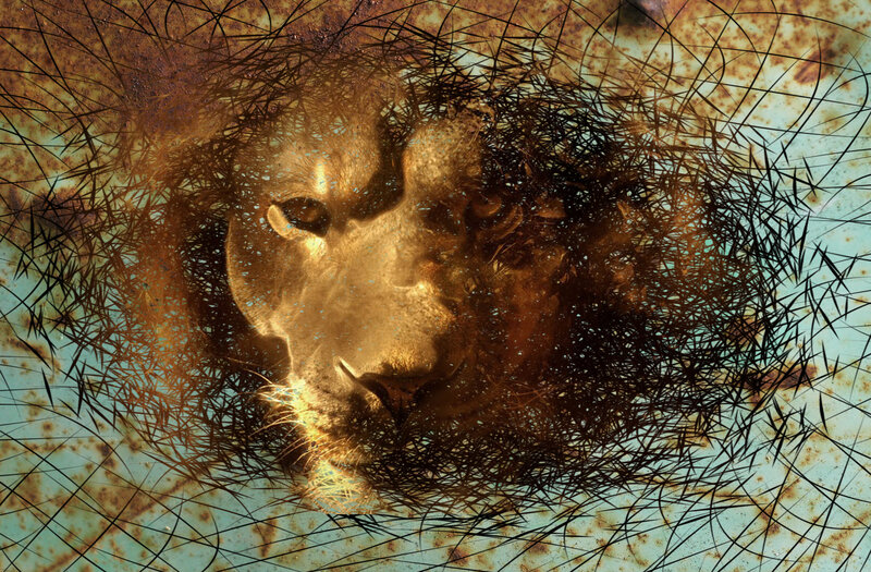 Lion Face on Rust