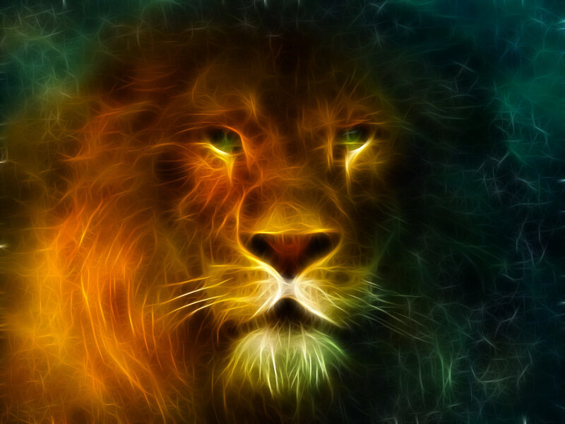 Lion Face — Orange