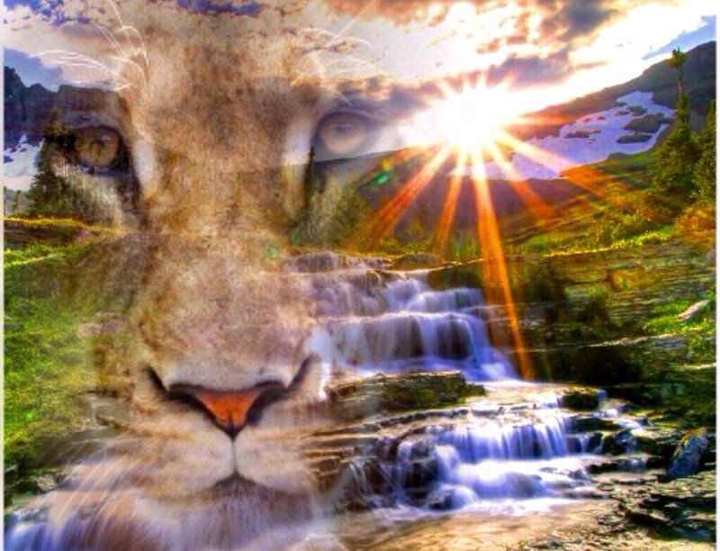 Lion Face Overlay