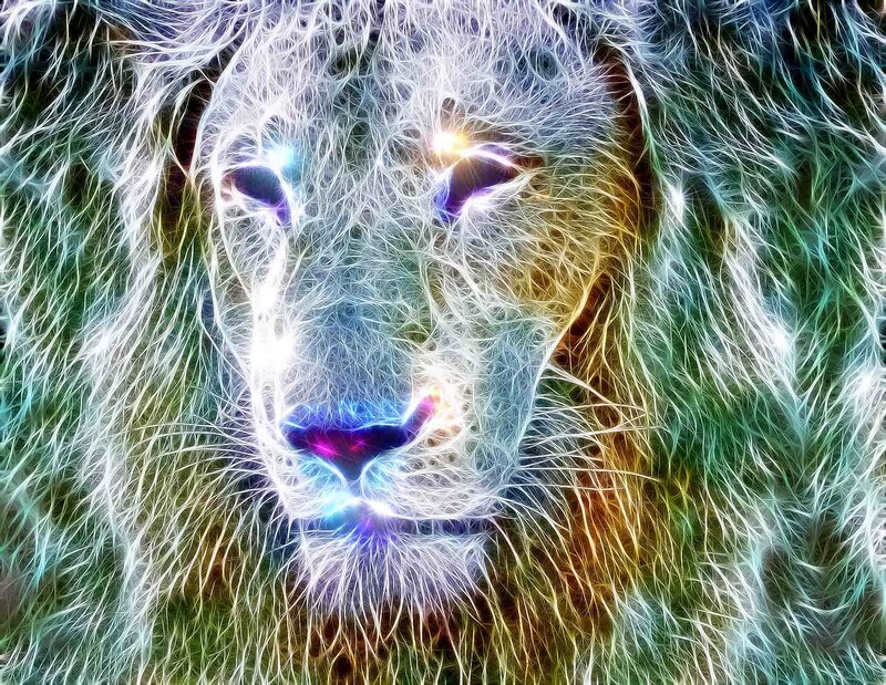 Lion Face with Glowing Fur