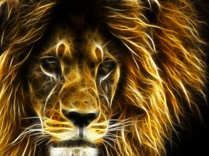 Lion Face with Glowing Mane