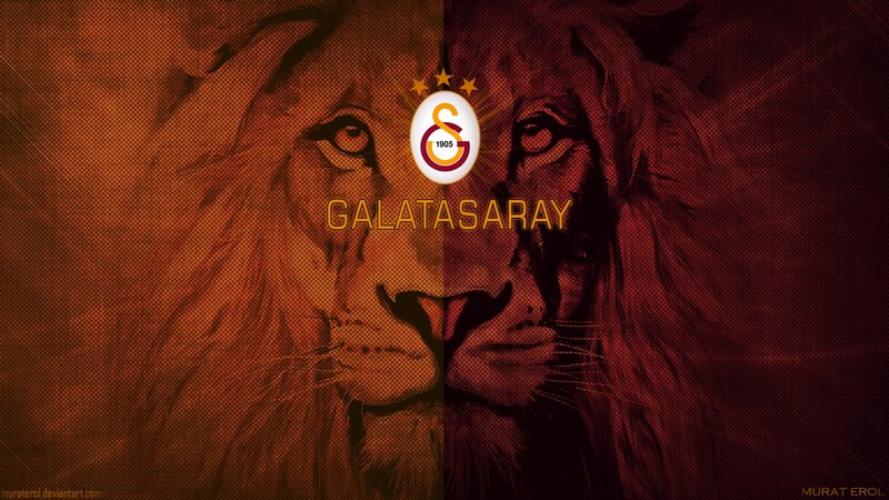 Lion Faces Split Background
