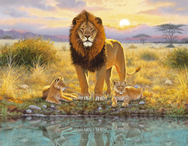 Lion family at sunset