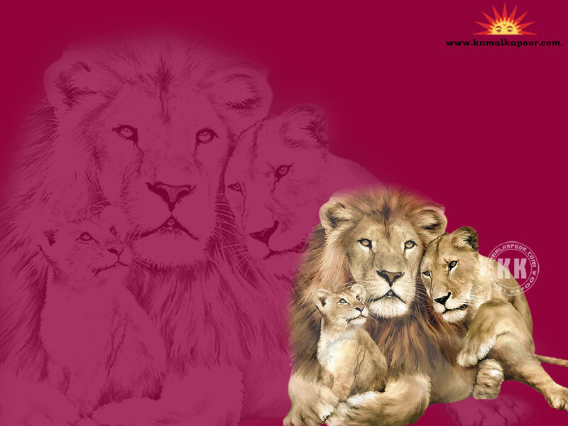 Lion Family Group — Magenta