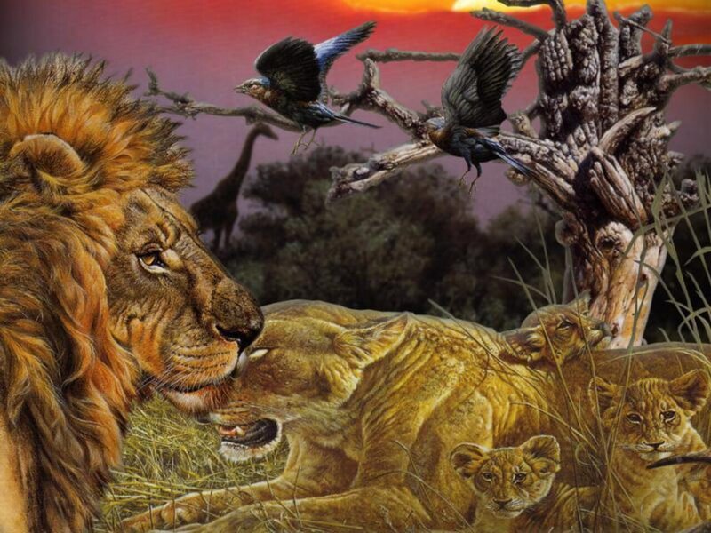 Lion Family in Savanna — Orange