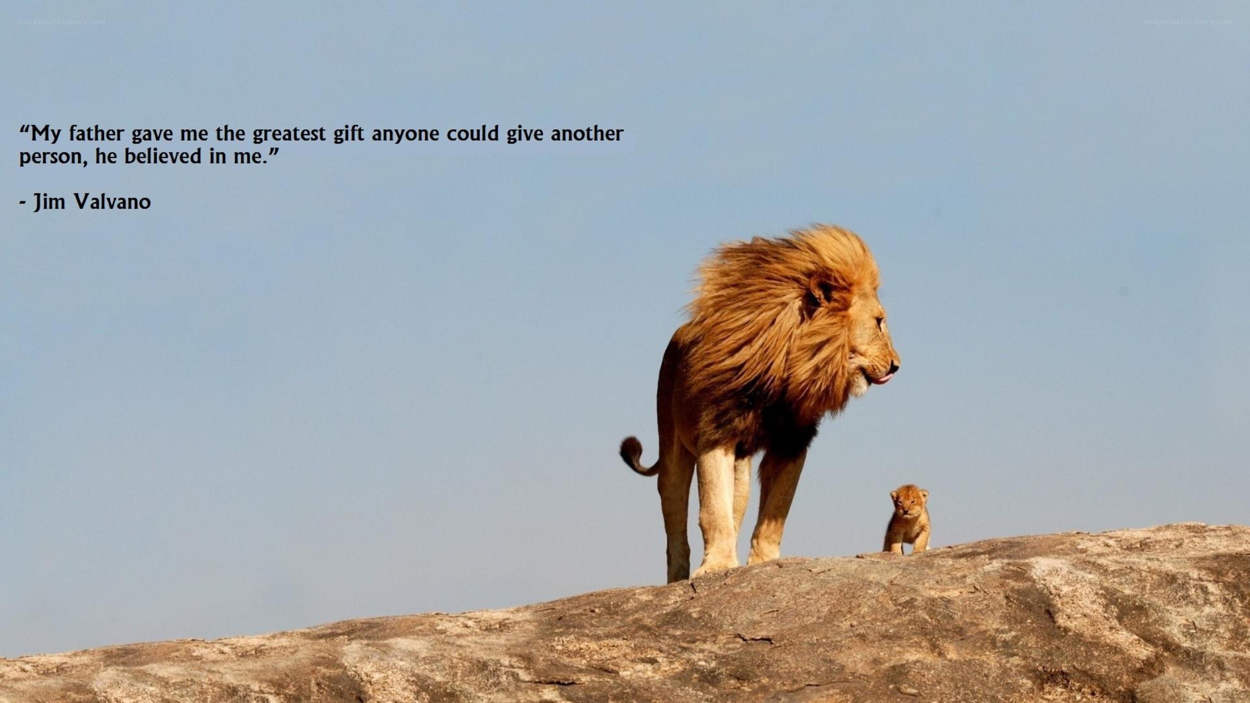 Lion father and cub