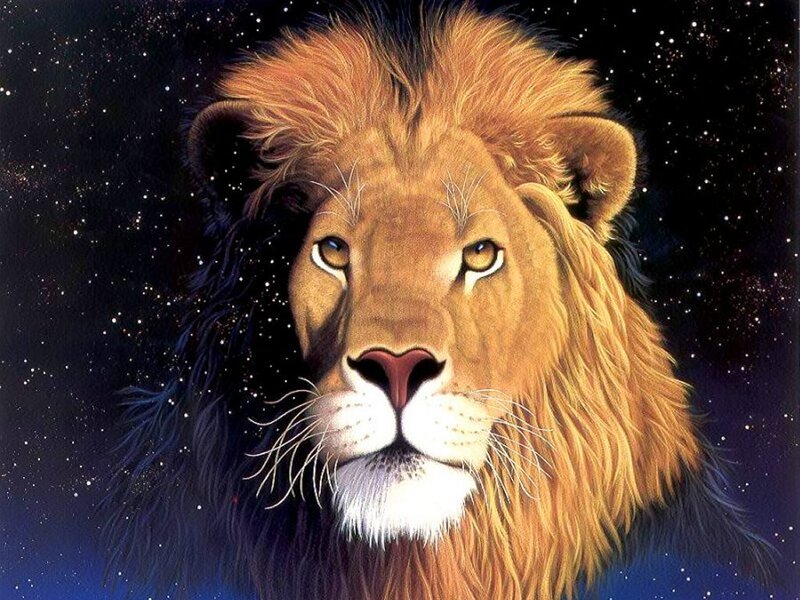 Lion Head Against Stars