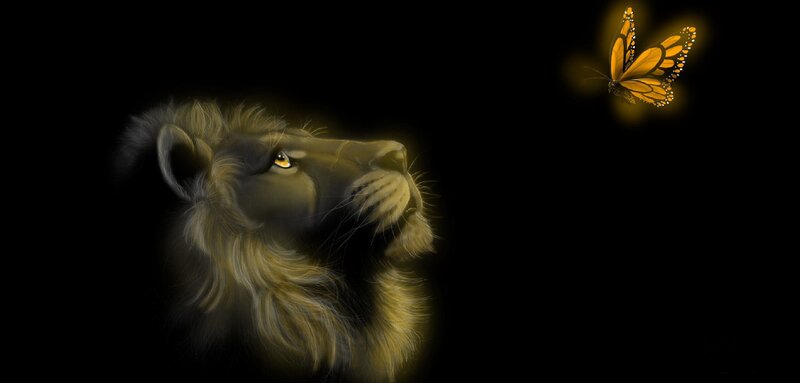 Lion Head and Butterfly