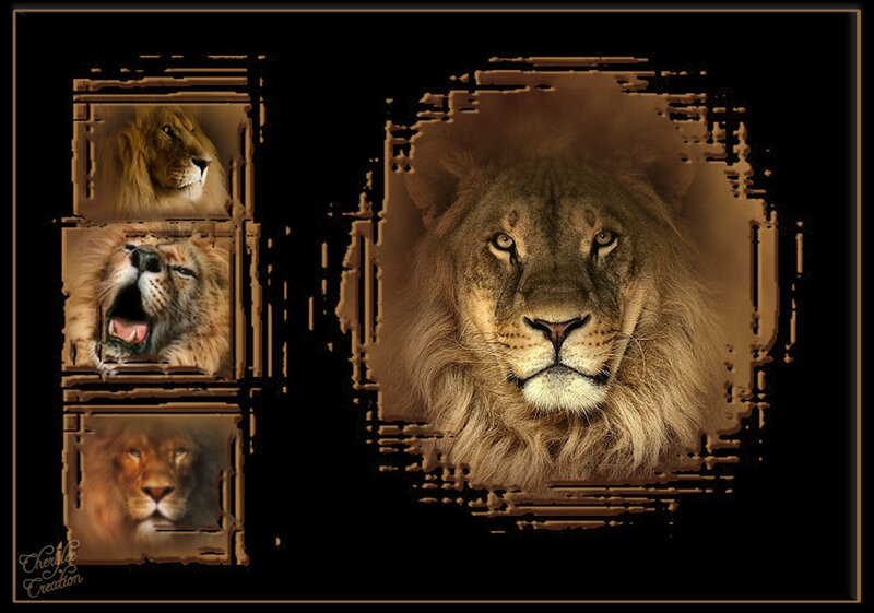 Lion Head Collage