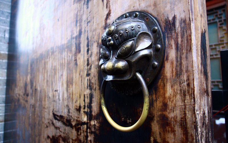 lion head door knocker