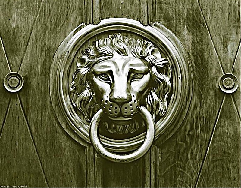 Lion Head Door Knocker — Brown