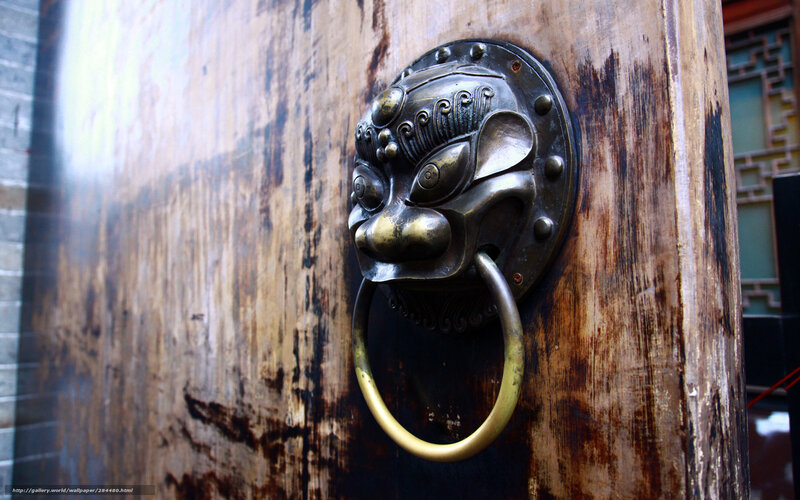 Lion-head door knocker