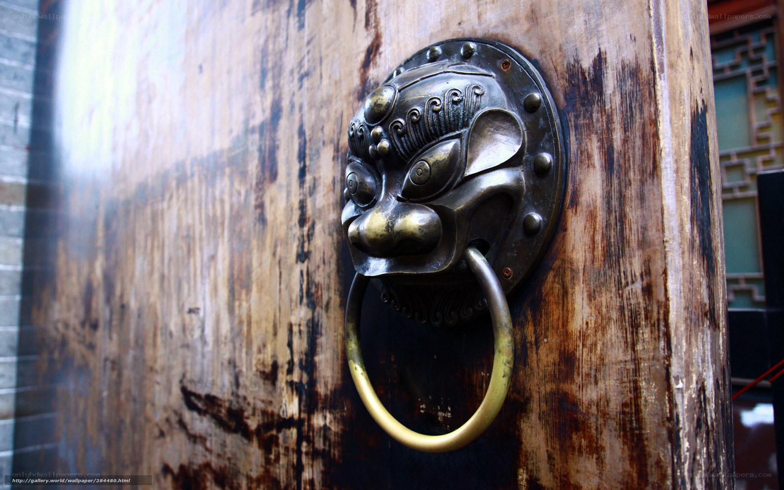 Lion-head door knocker