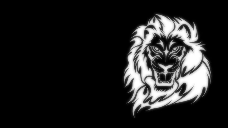 Lion Head Illustration
