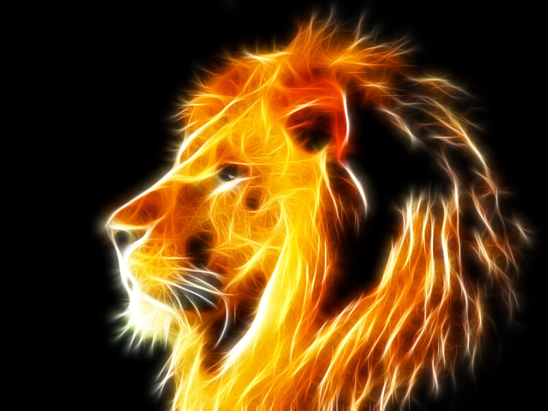 Lion Head in Flames — Orange, Dramatic