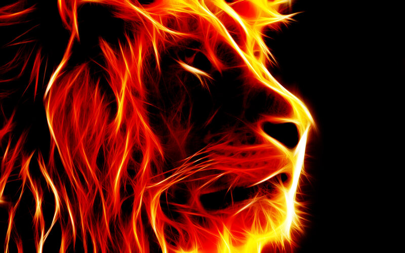 Lion Head in Flames