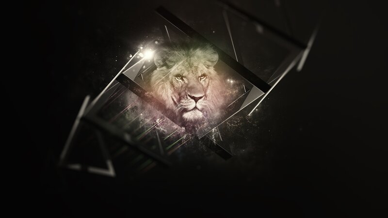 Lion Head in Geometric Frame