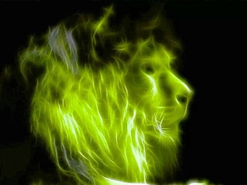 Lion Head in Neon Light