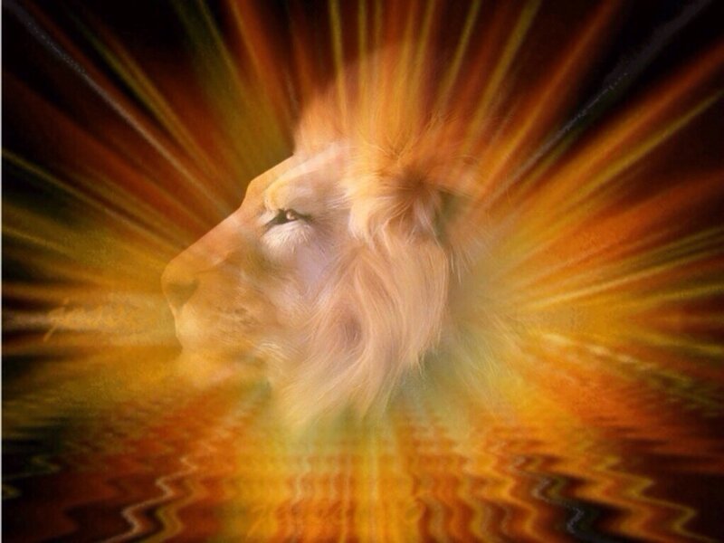 Lion Head in Profile — Yellow